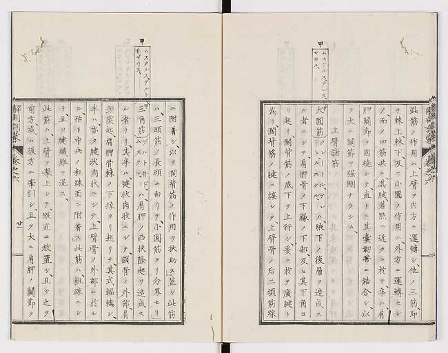 K0021s0193