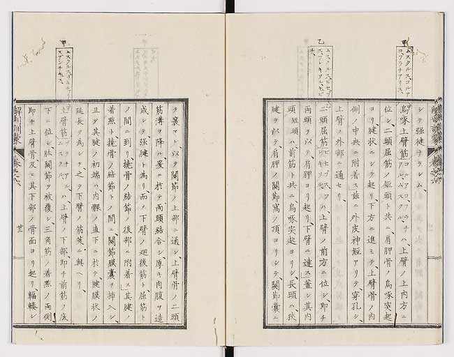 K0021s0194