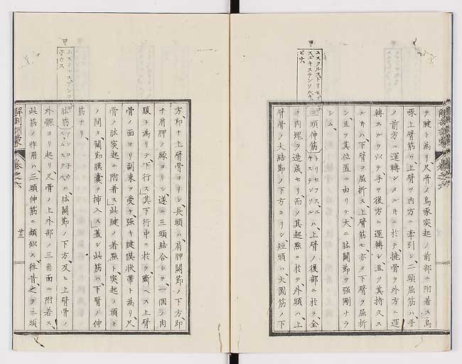 K0021s0195