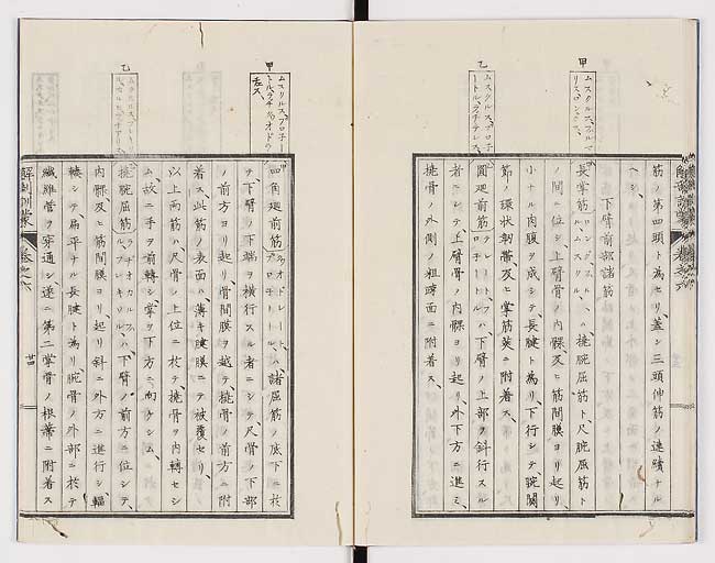 K0021s0196