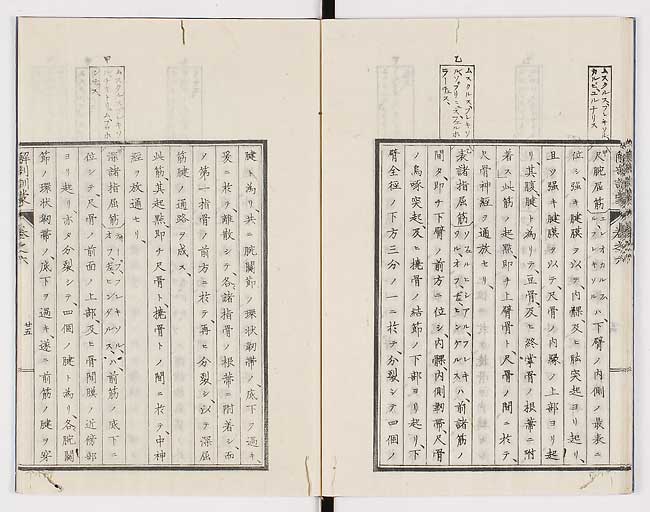 K0021s0197