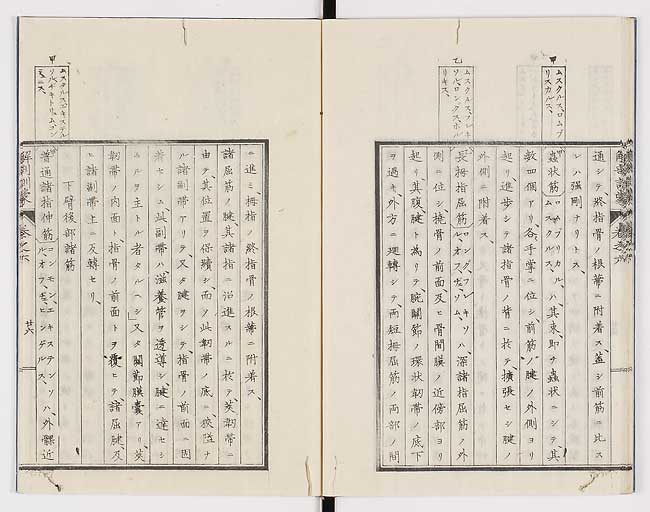 K0021s0198