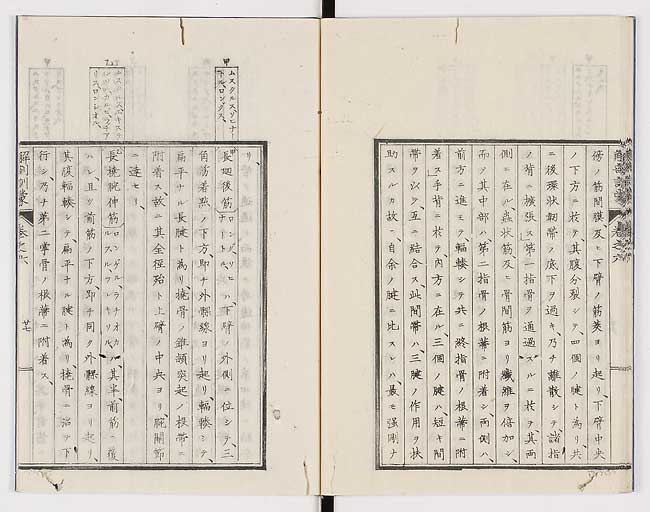 K0021s0199