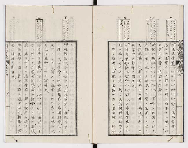 K0021s0200
