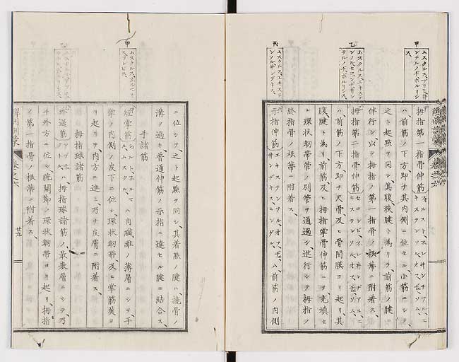 K0021s0201
