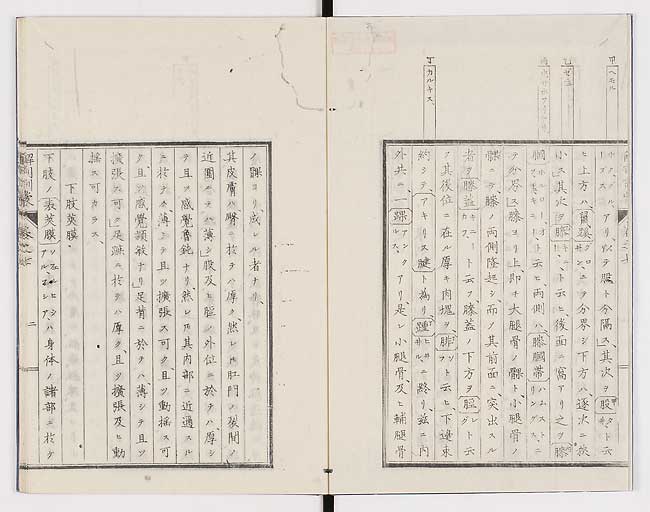 K0021s0208