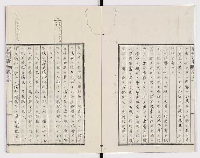 K0021s0209