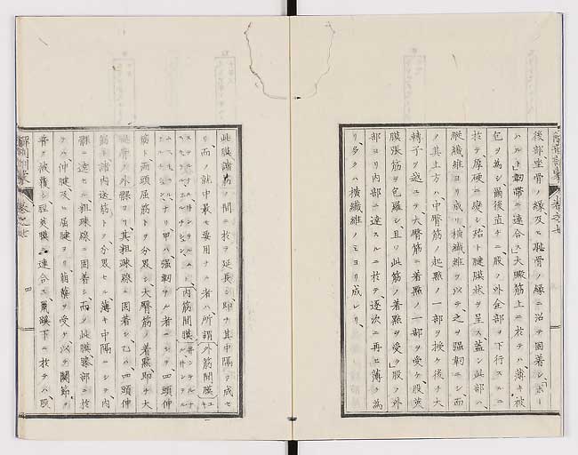 K0021s0210