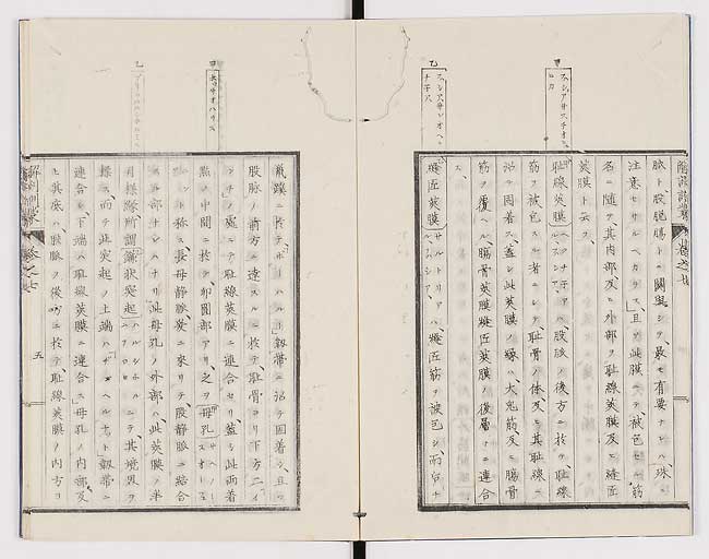 K0021s0211