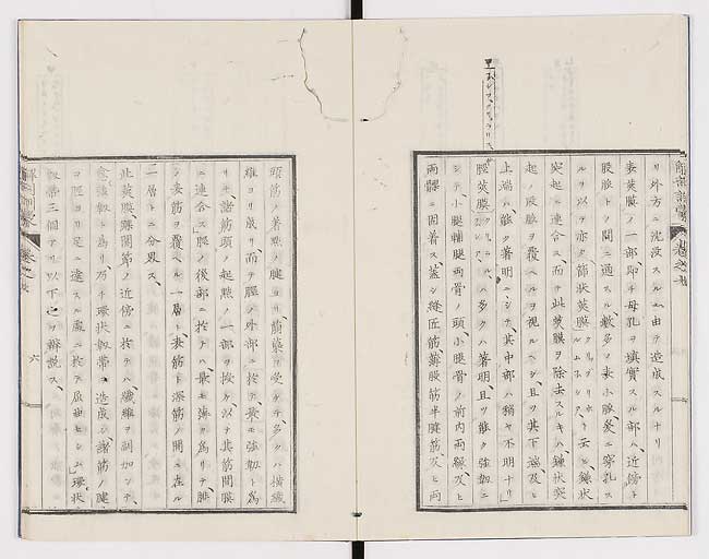 K0021s0212