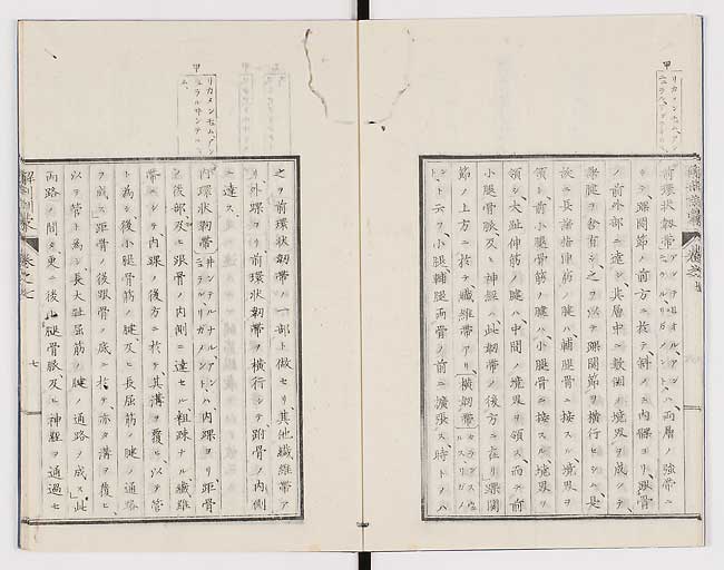 K0021s0213