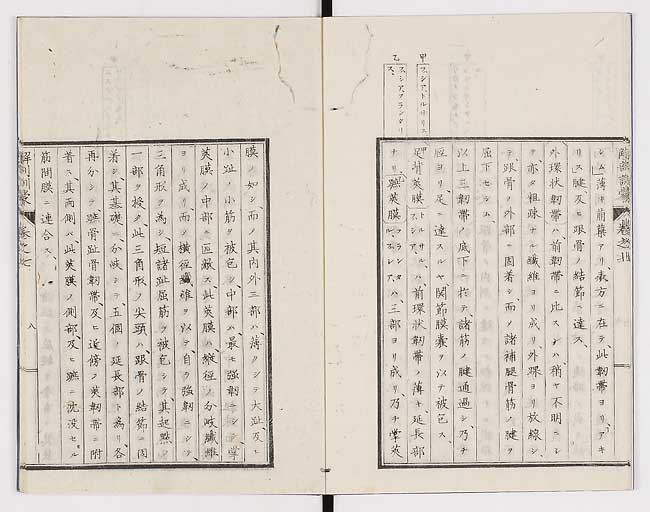 K0021s0214