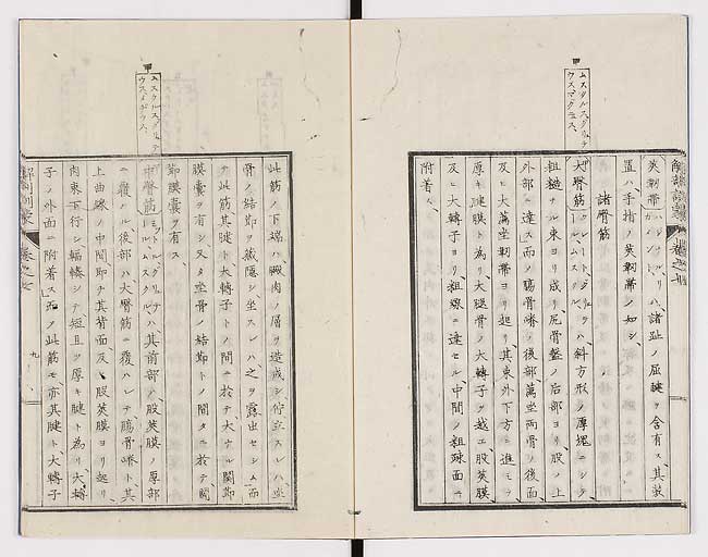 K0021s0215
