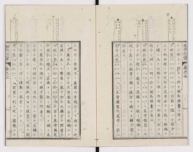 K0021s0216