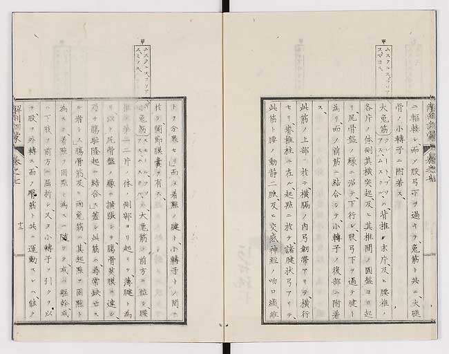 K0021s0218