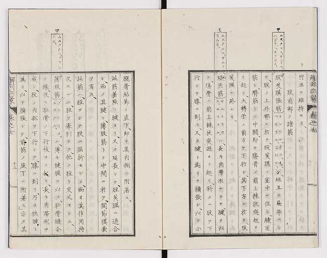 K0021s0219