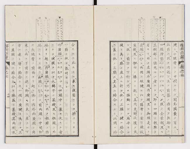 K0021s0220