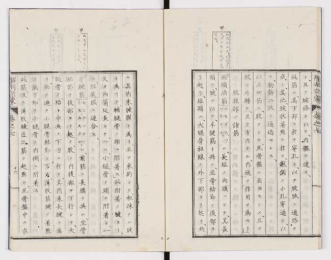 K0021s0222