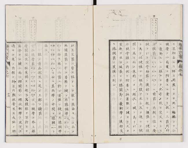 K0021s0223