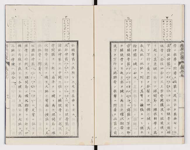 K0021s0224