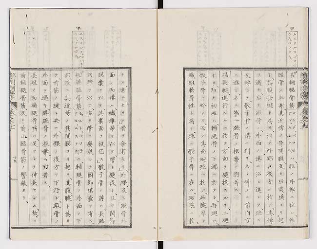 K0021s0225