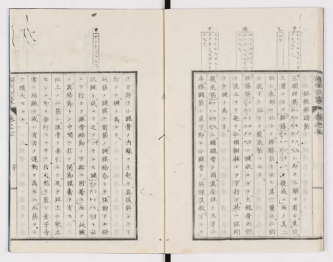 K0021s0226