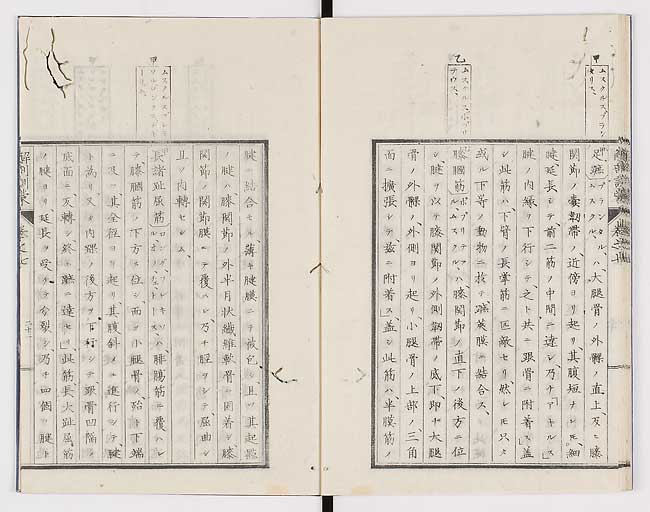 K0021s0227