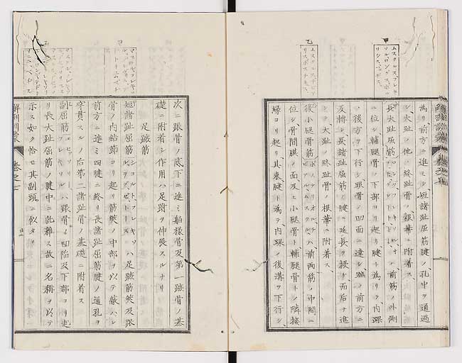 K0021s0228