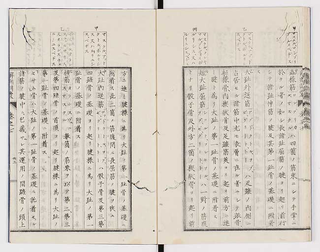 K0021s0229