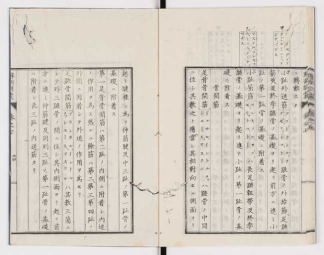 K0021s0230
