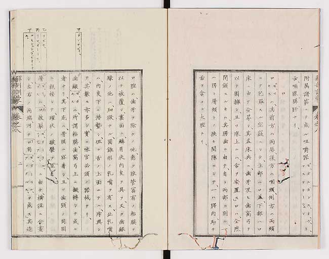 K0021s0235