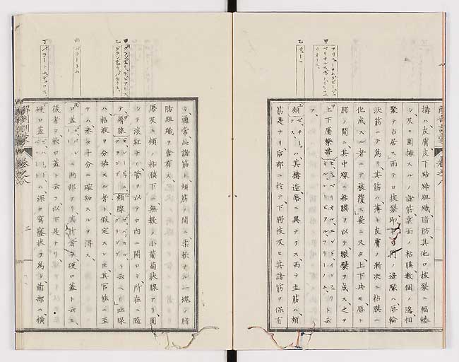 K0021s0236