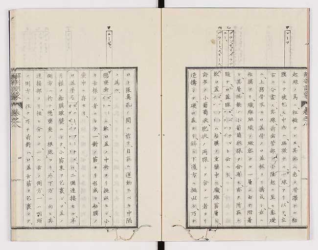 K0021s0237