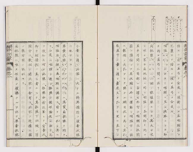 K0021s0238