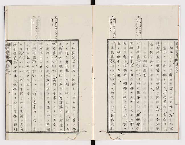 K0021s0239
