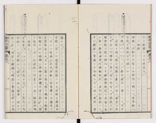 K0021s0240