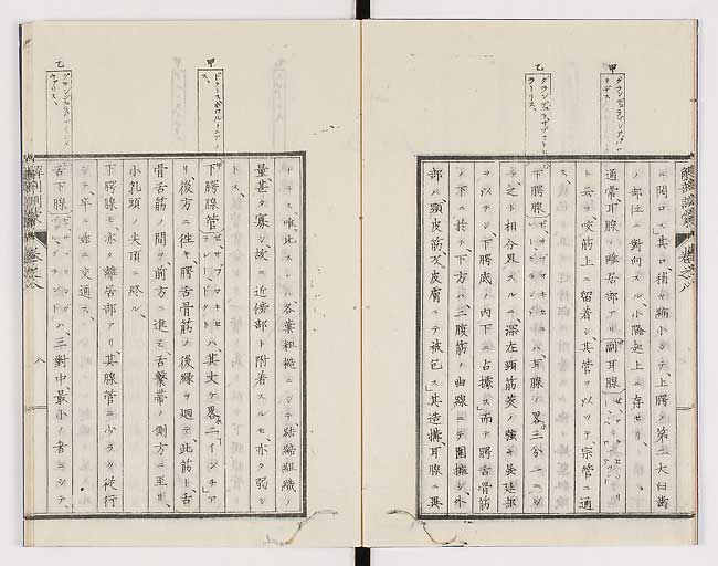 K0021s0241