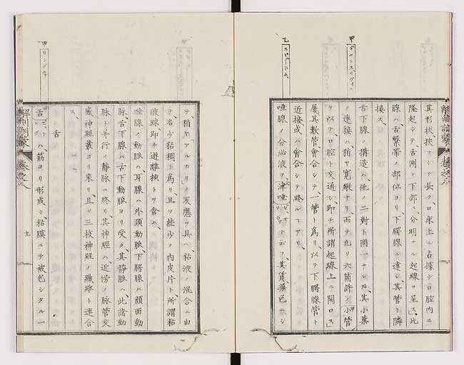 K0021s0242