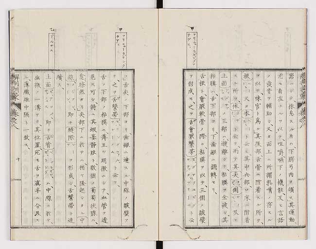K0021s0243