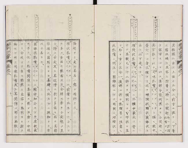 K0021s0244