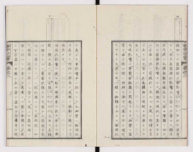K0021s0245
