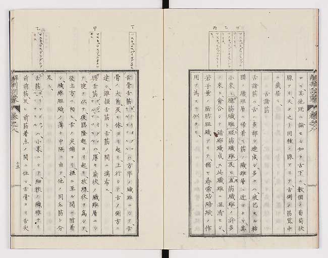 K0021s0246