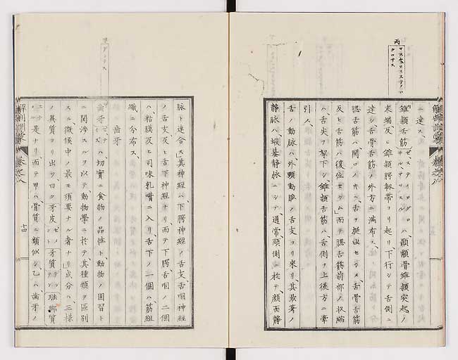 K0021s0247