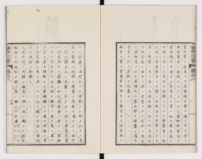 K0021s0248