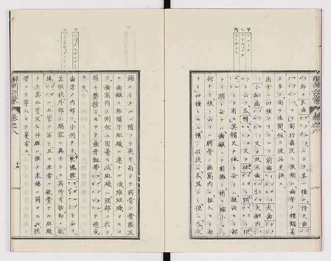 K0021s0249