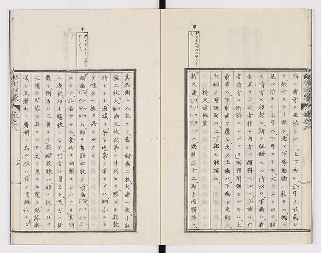 K0021s0250