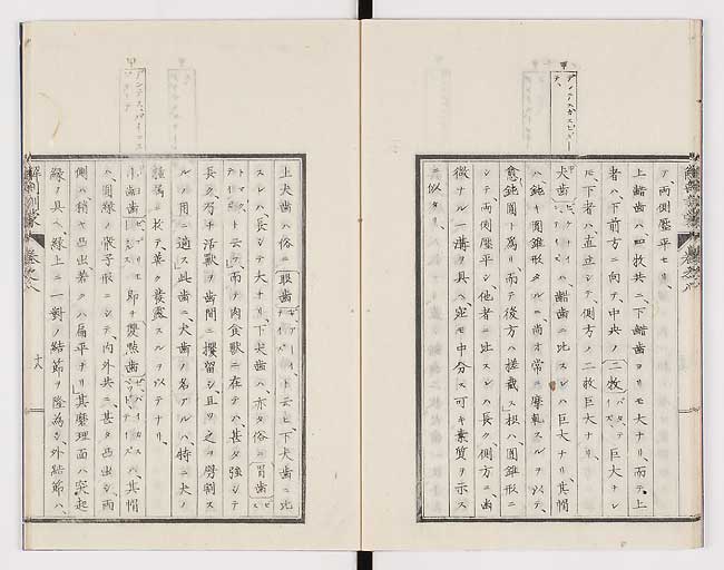 K0021s0251