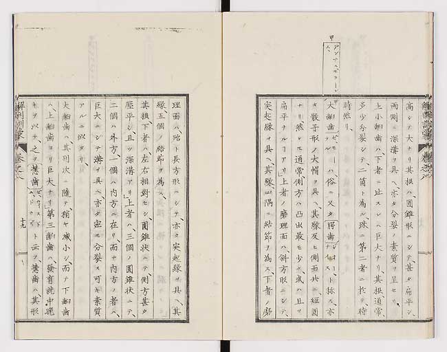 K0021s0252