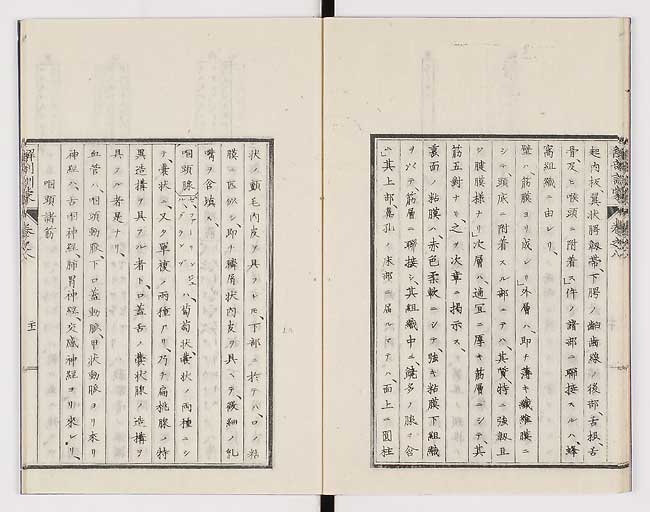 K0021s0254