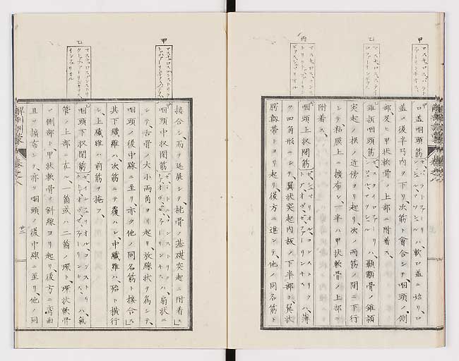 K0021s0255
